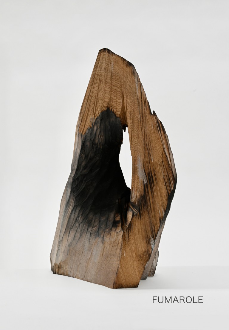 国松希根太展 ―FUMAROLE―